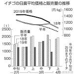 イチゴ平年比２割高 出回りばらつき堅調 イチゴ相場が堅調だ。 - 日本農業新聞